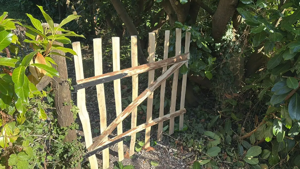 Clôture en ganivelle de châtaignier dans un jardin