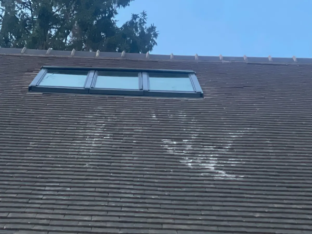 Fenêtres de toit sur une toiture en ardoise